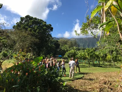 Oahu Cocoa Farm Tours - 21 Degrees Estate